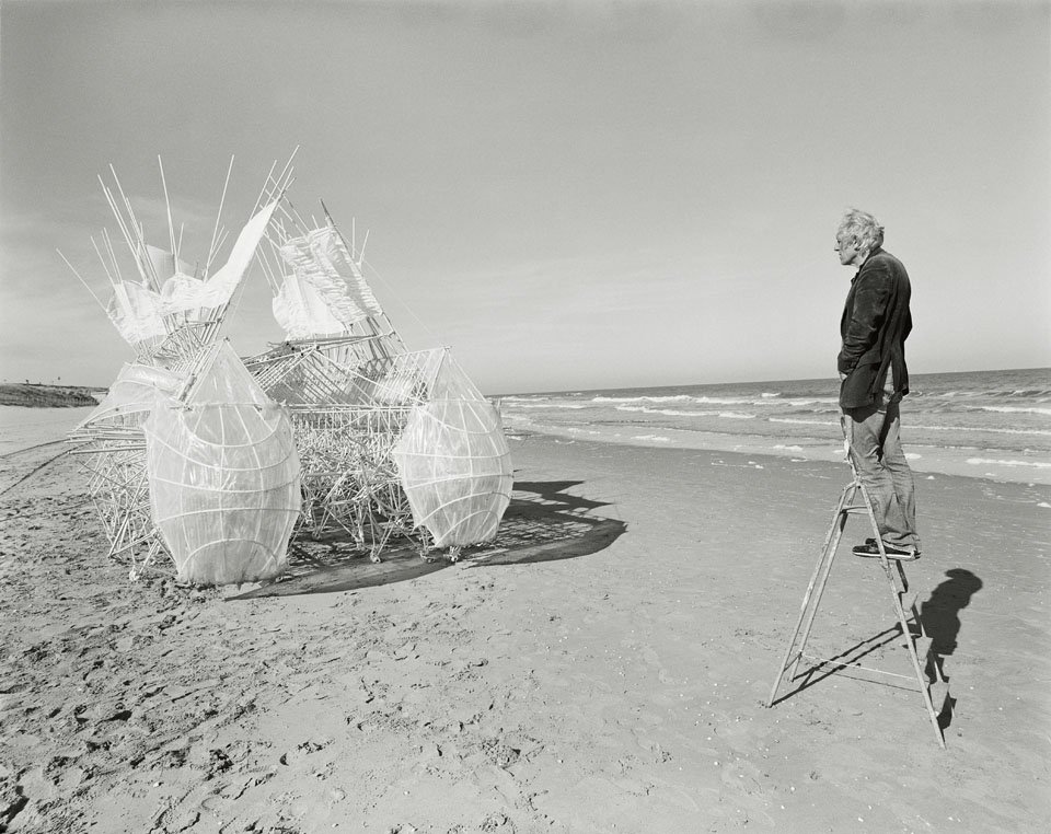 Strandbeest: The Dream Machines of Theo Jansen - Art for